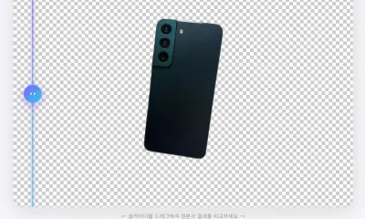 PNG Transparente vs JPG con Fondo Blanco: Qué Descargar